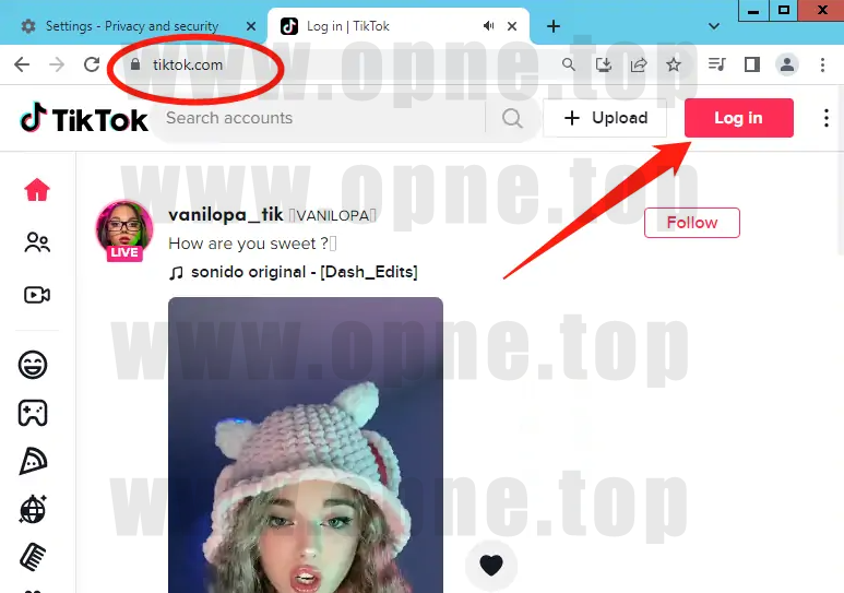 TikTok（2FA号）使用说明